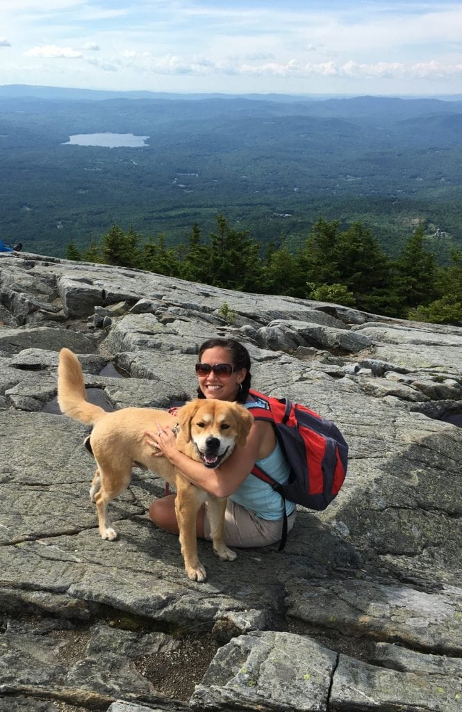 A dog working on recall with a trainer on a trail